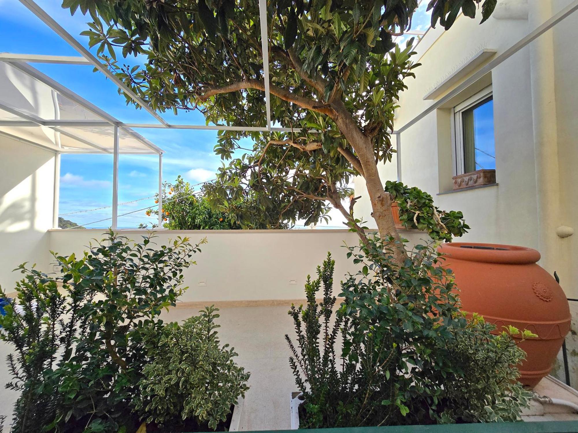 Sopramonte Exclusive Rooms Capri Dış mekan fotoğraf